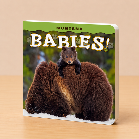 Montana Babies!